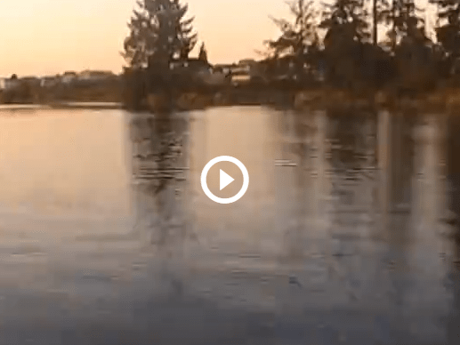 Full Width First Person Video App